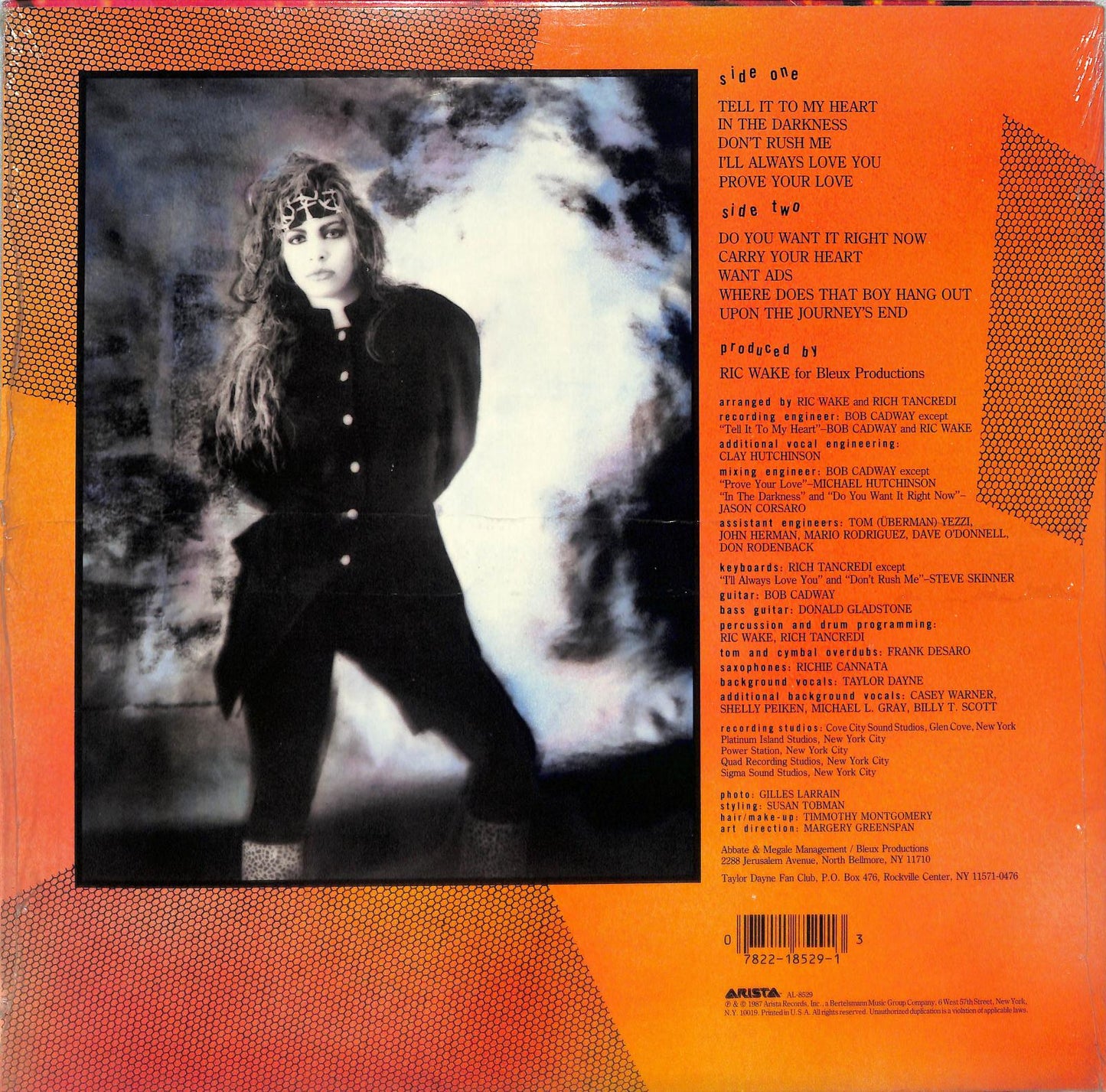 TAYLOR DAYNE - Tell It To My Heart