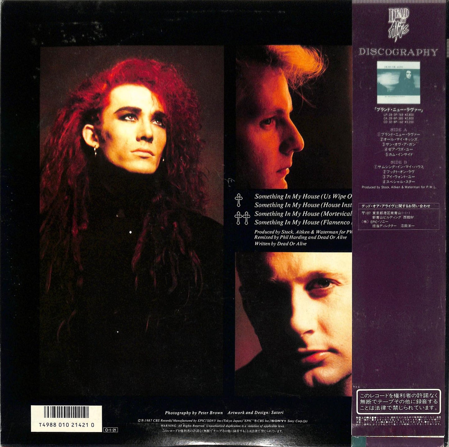 DEAD OR ALIVE - Something In My House