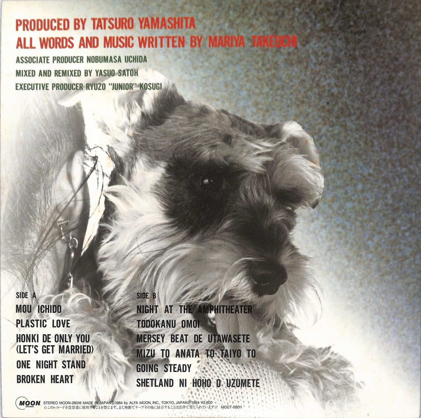 MARIYA TAKEUCHI - Variety