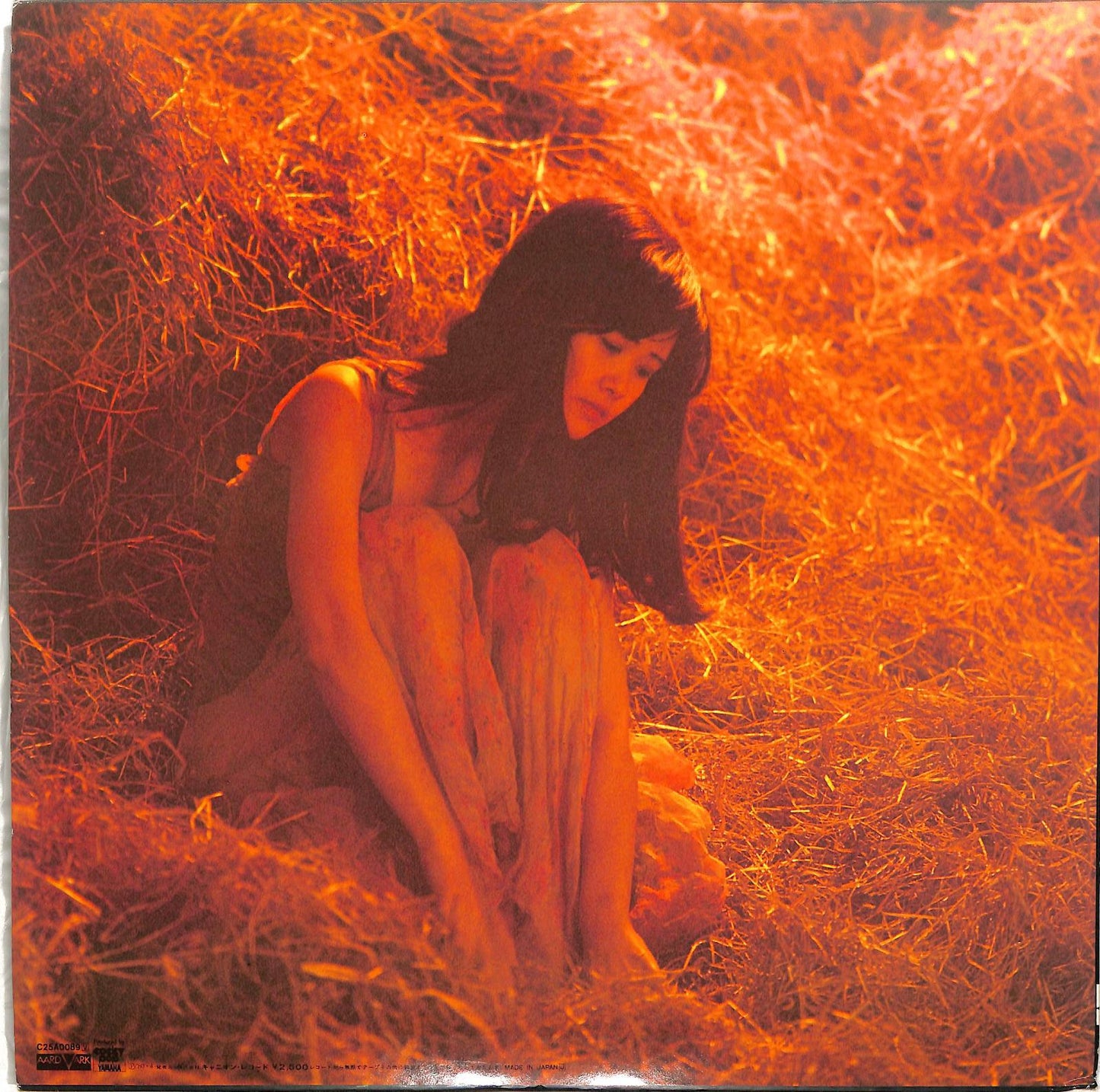 NAKAJIMA MIYUKI - 生きていてもいいですか