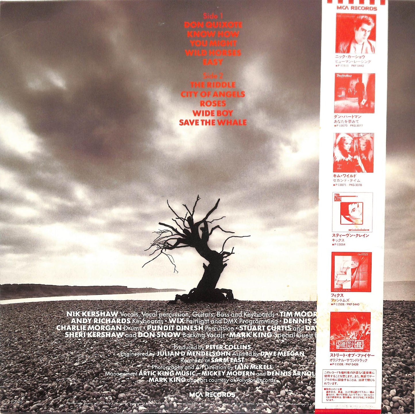 NIK KERSHAW - The Riddle