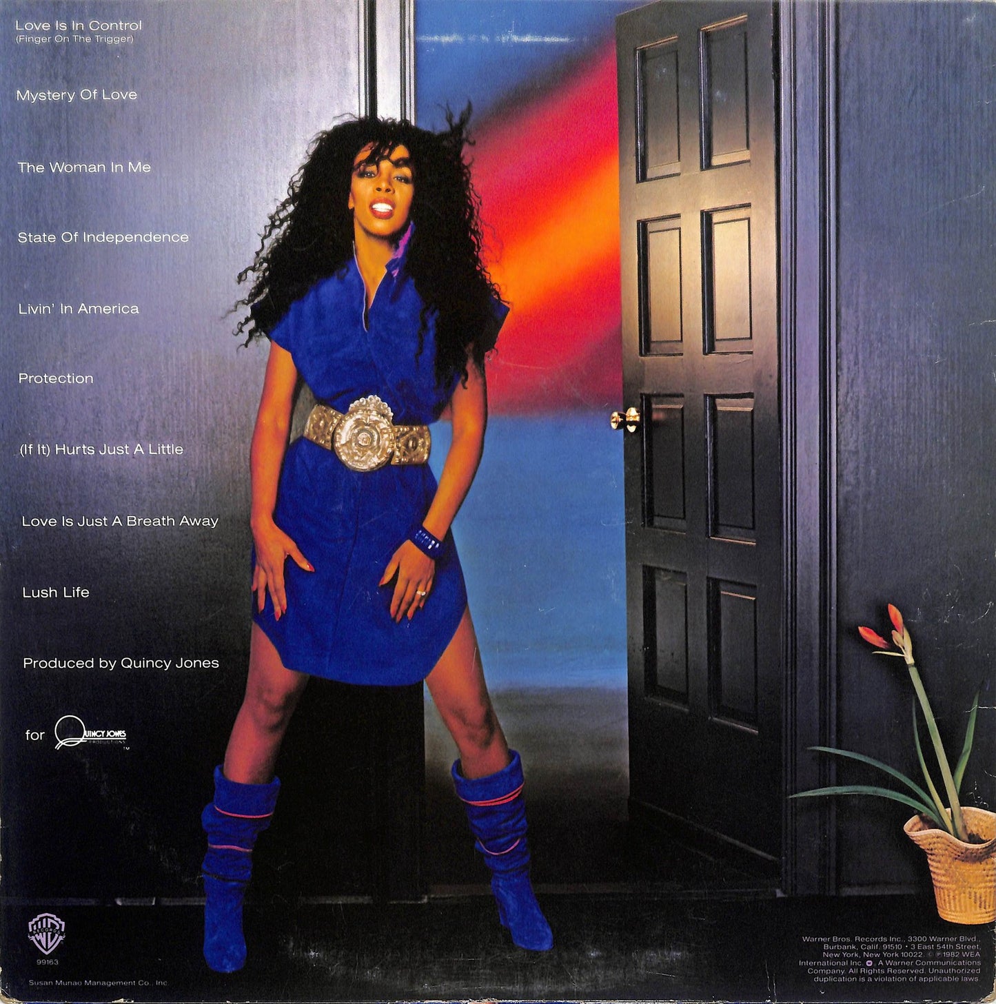DONNA SUMMER - Donna Summer