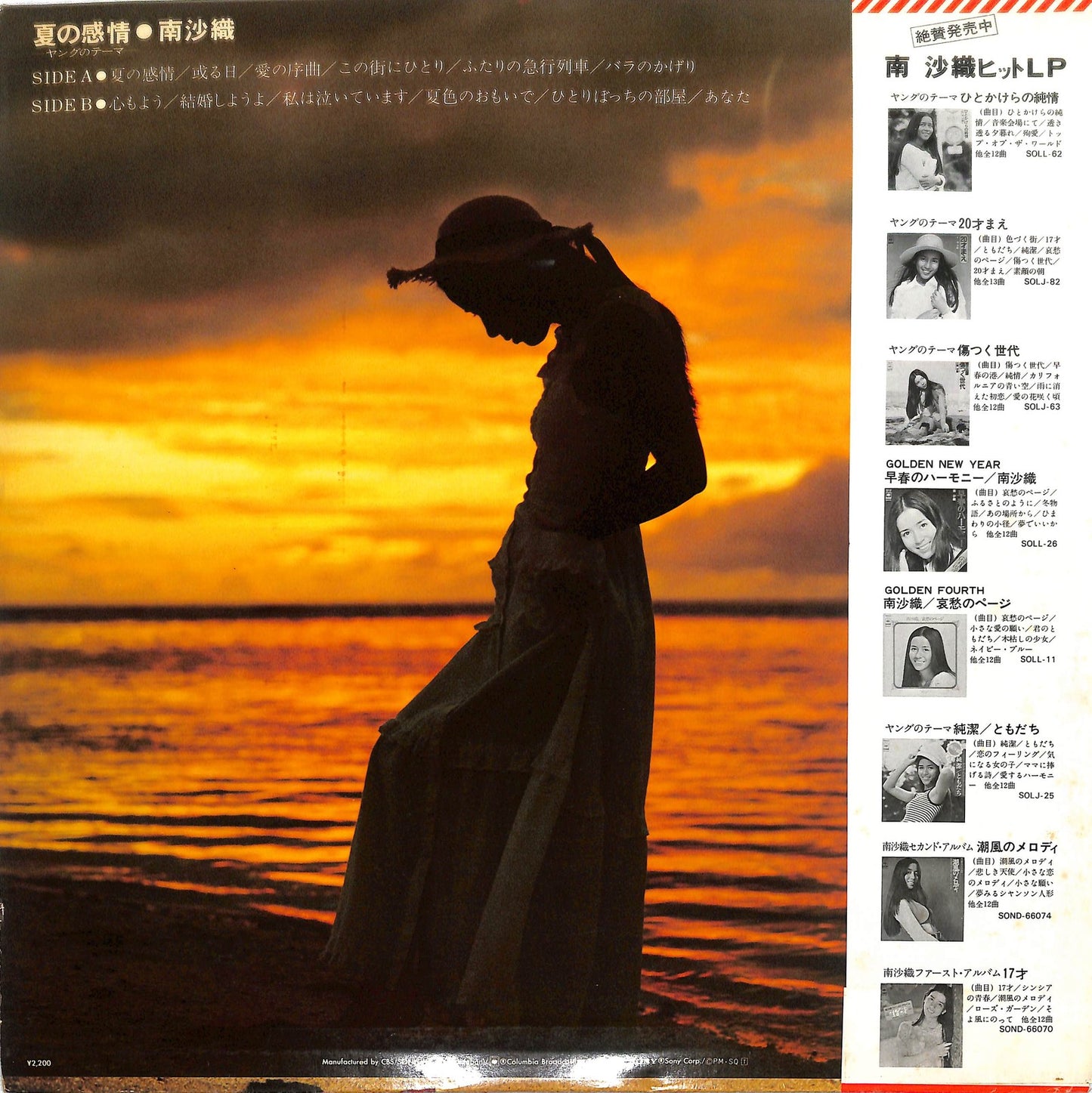 SAORI MINAMI - 夏の感情