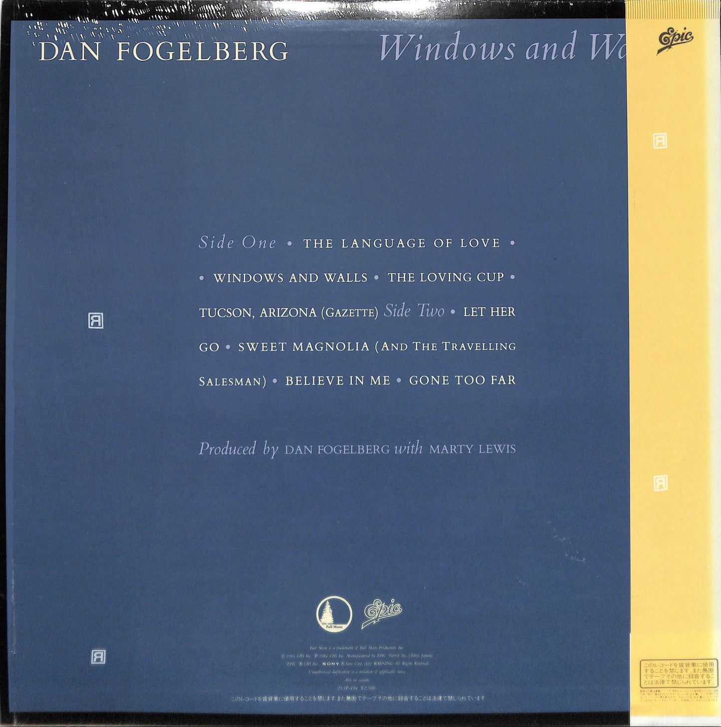 DAN FOGELRBERG - Windows And Walls