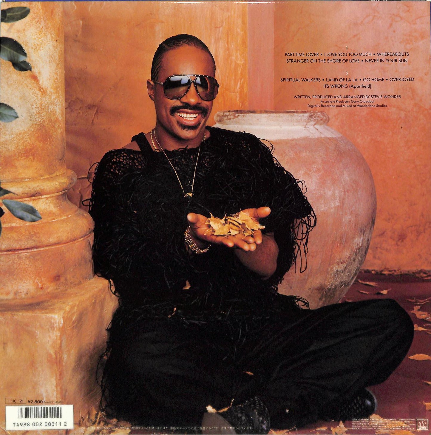 STEVIE WONDER - In Square Circle