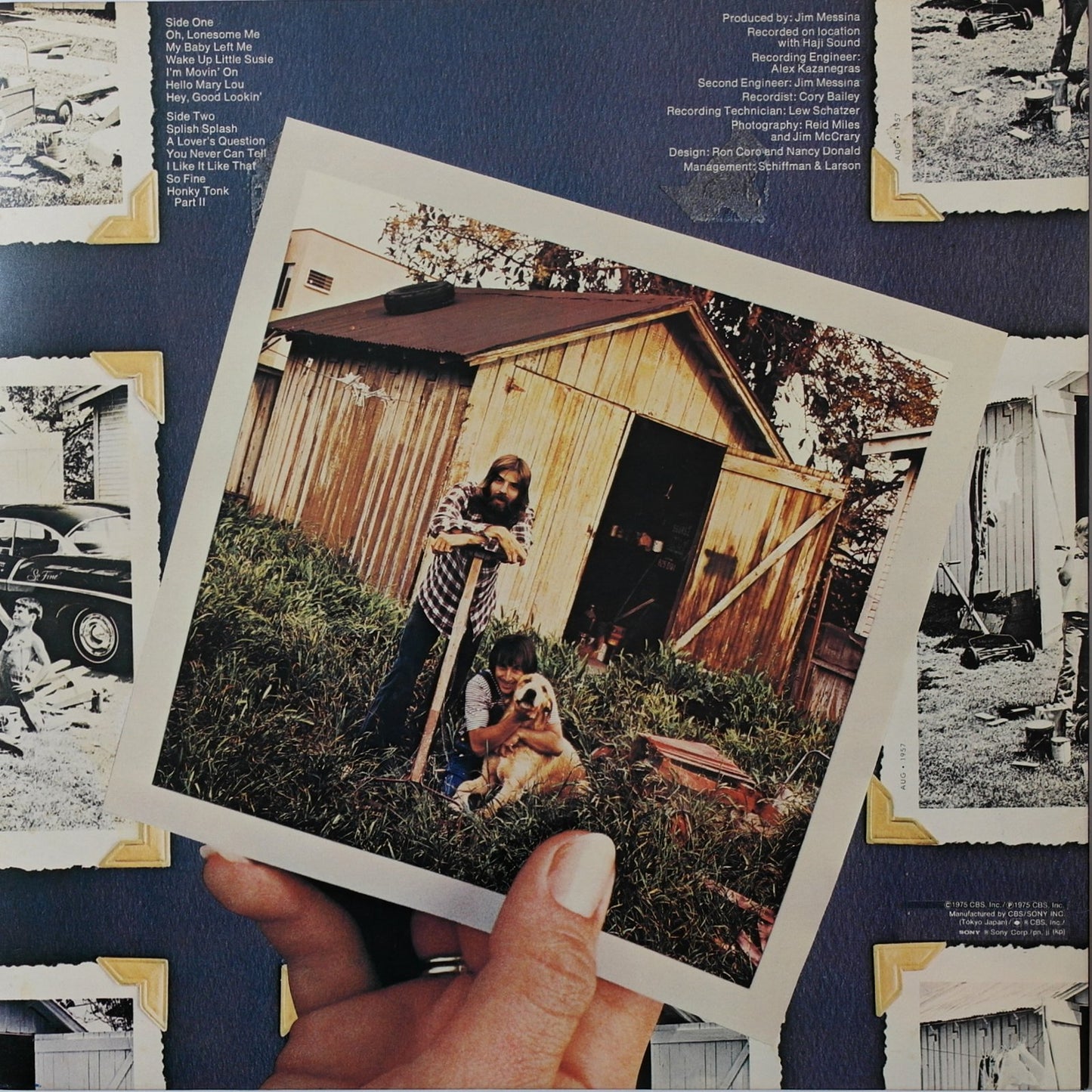 LOGGINS & MESSINA - So Fine