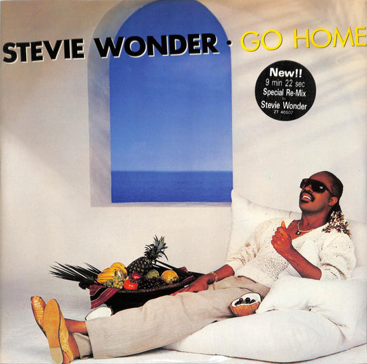 STEVIE WONDER - Go Home (Special Re-Mix)