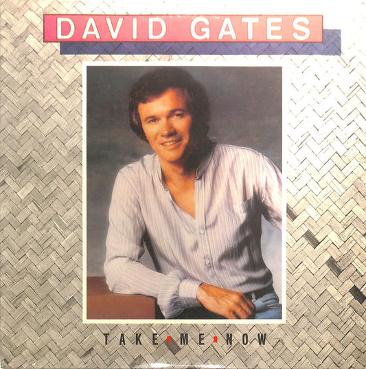 DAVID GATES - Take Me Now