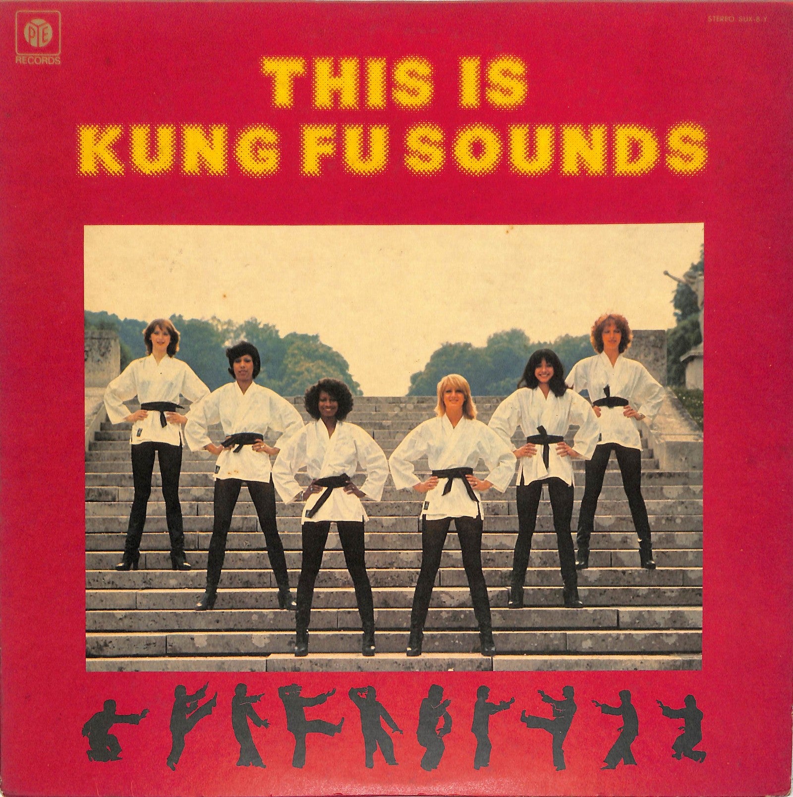 VA - This Is Kung Fu Sounds