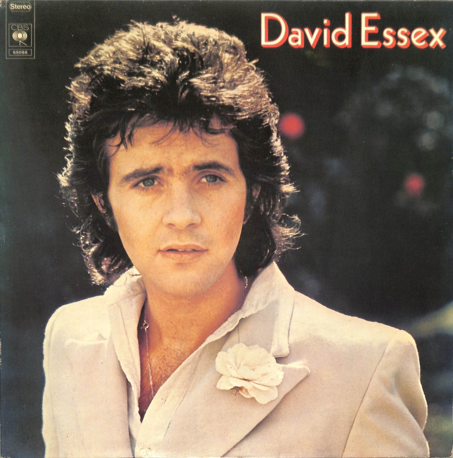 DAVID ESSEX - David Essex