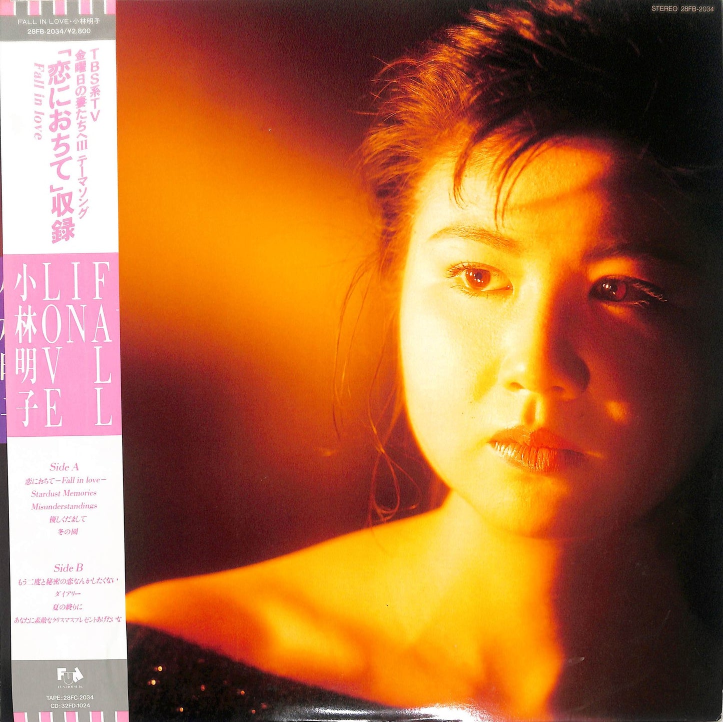 AKIKO KOBAYASHI - Fall In Love