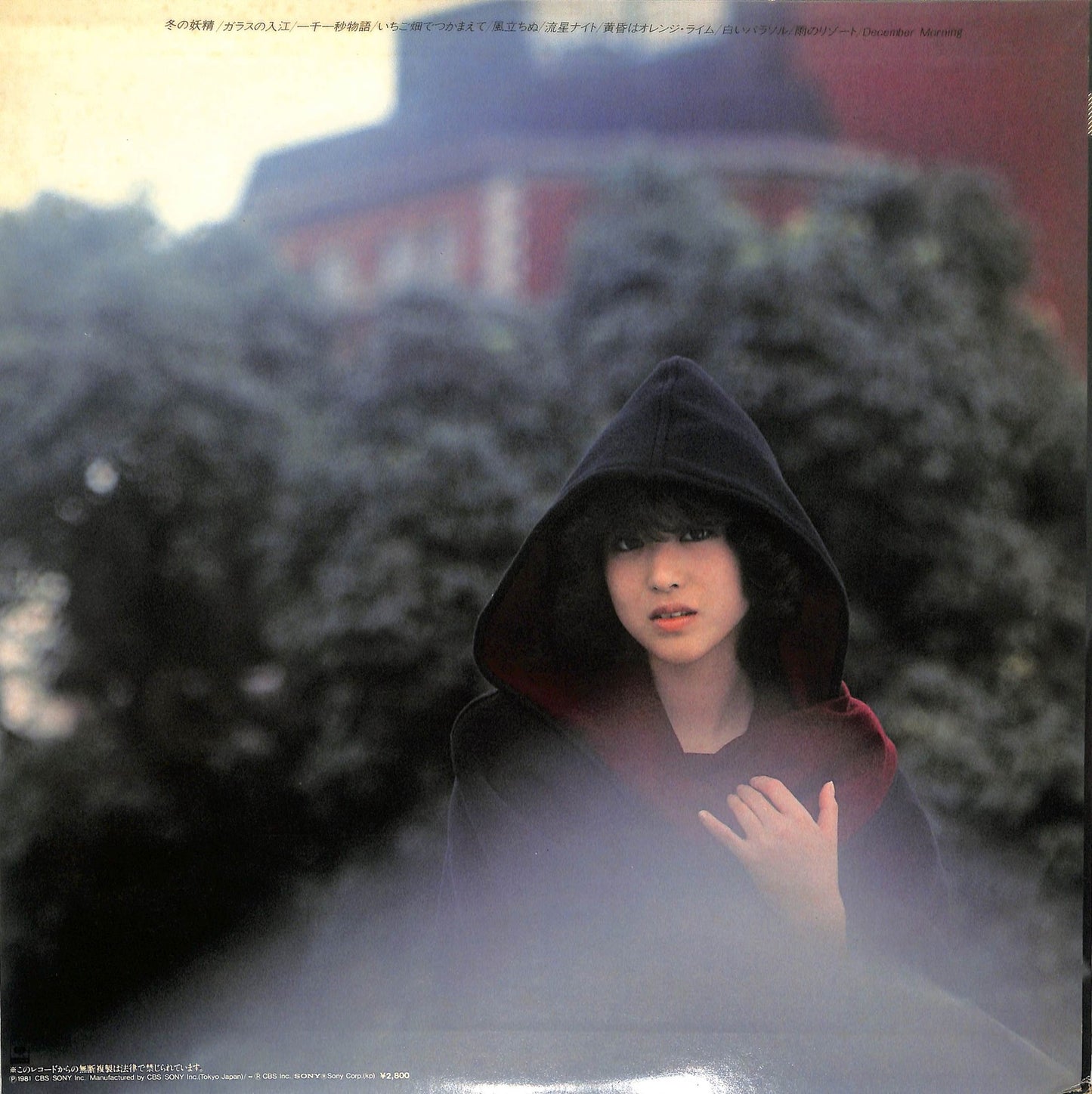 SEIKO MATSUDA - 風立ちぬ