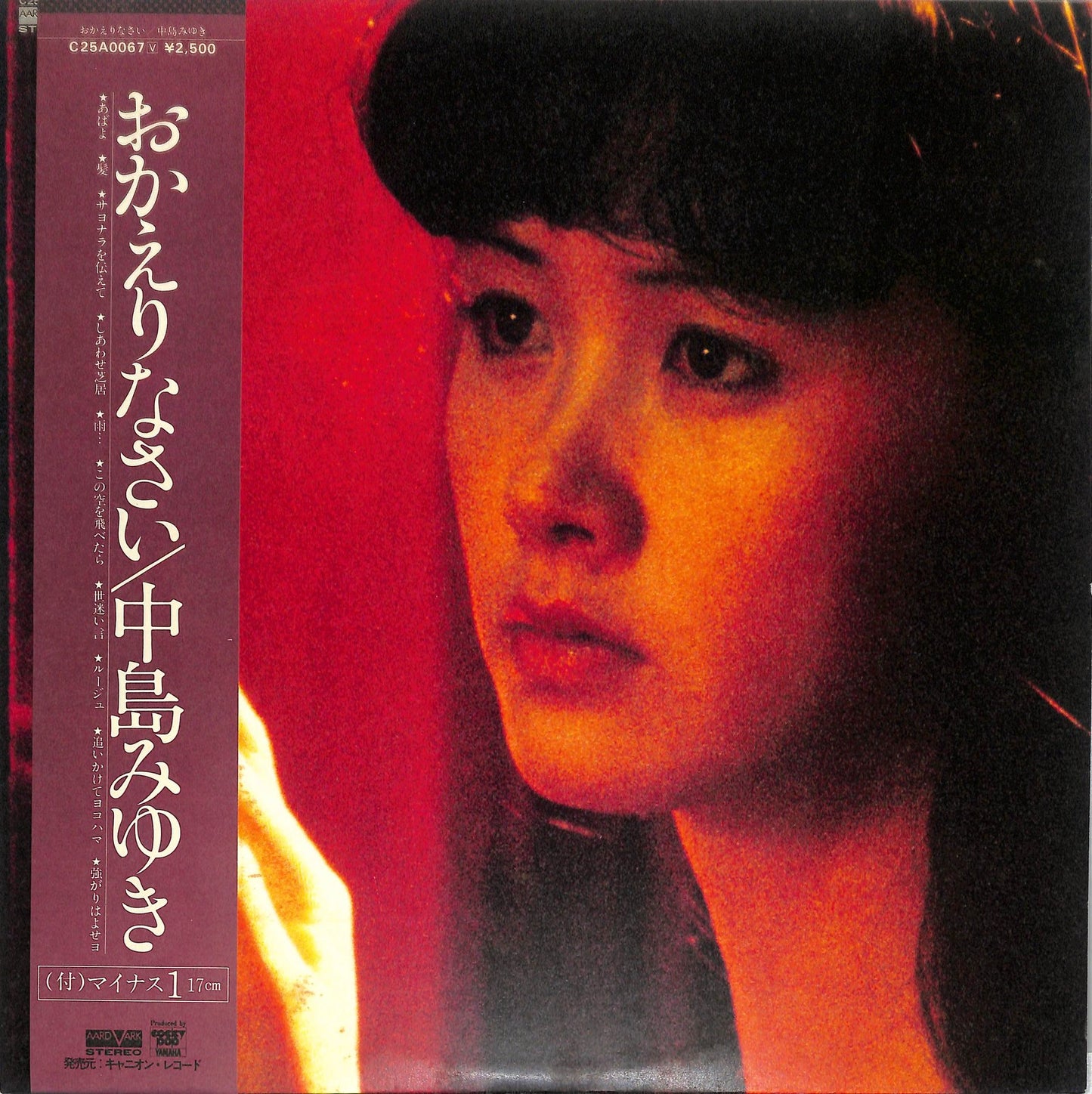 NAKAJIMA MIYUKI -おかえりなさい