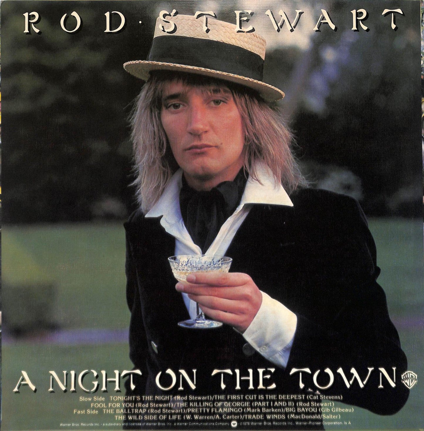 ROD STEWART - A Night On The Town