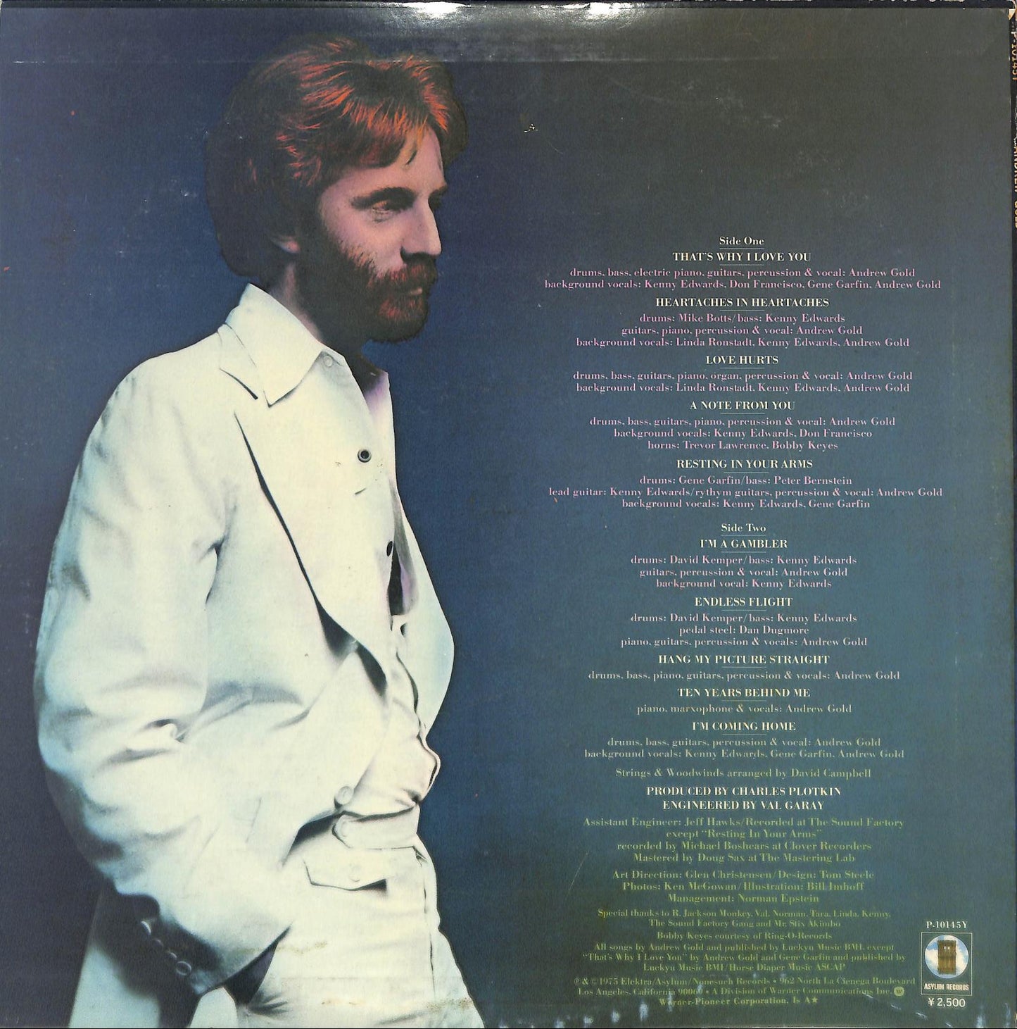 ANDREW GOLD - Andrew Gold