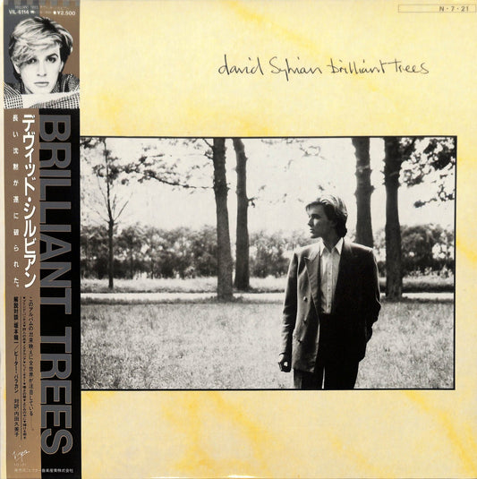 DAVID SYLVIAN - Brilliant Trees