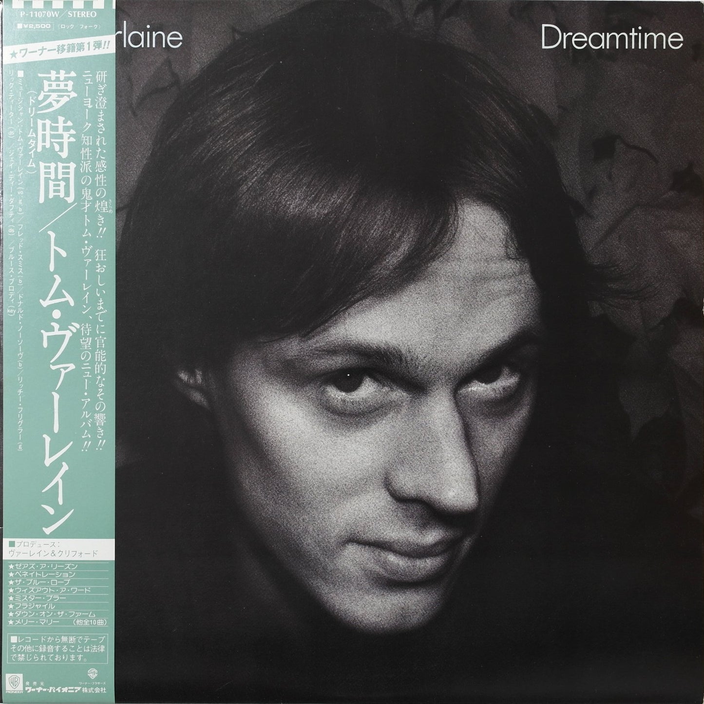 TOM VERLAINE - Dreamtime
