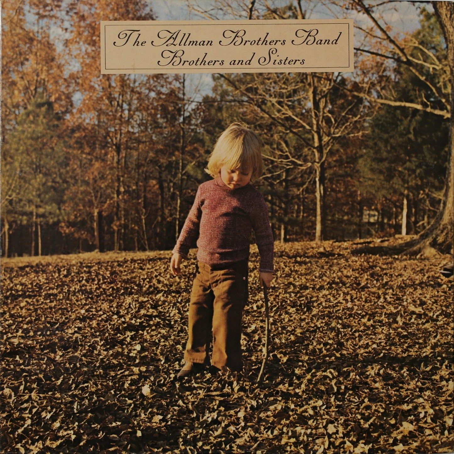 THE ALLMAN BROTHERS BAND - Brothers And Sisters